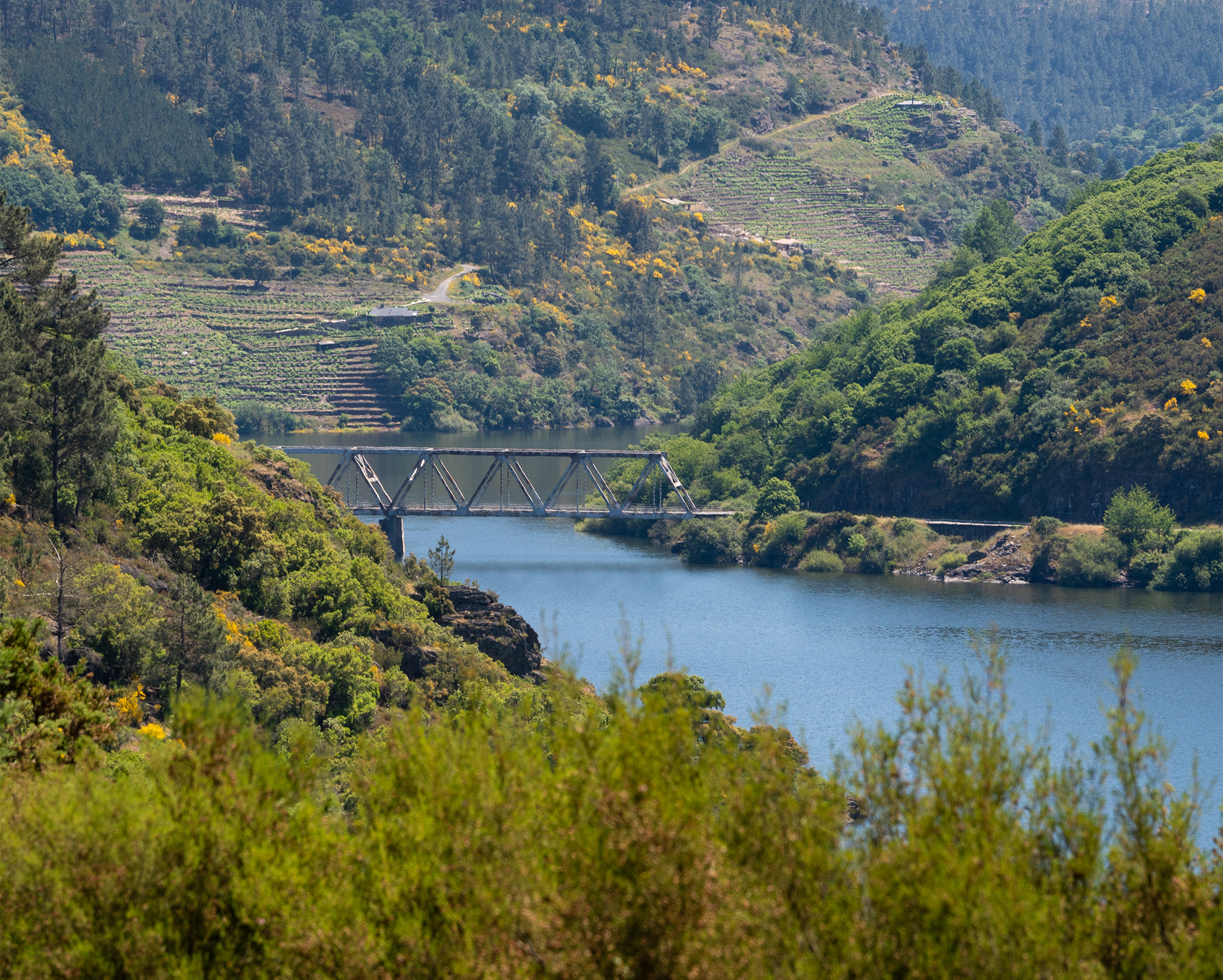 rutas RIBEIRA SACRA TABOADA